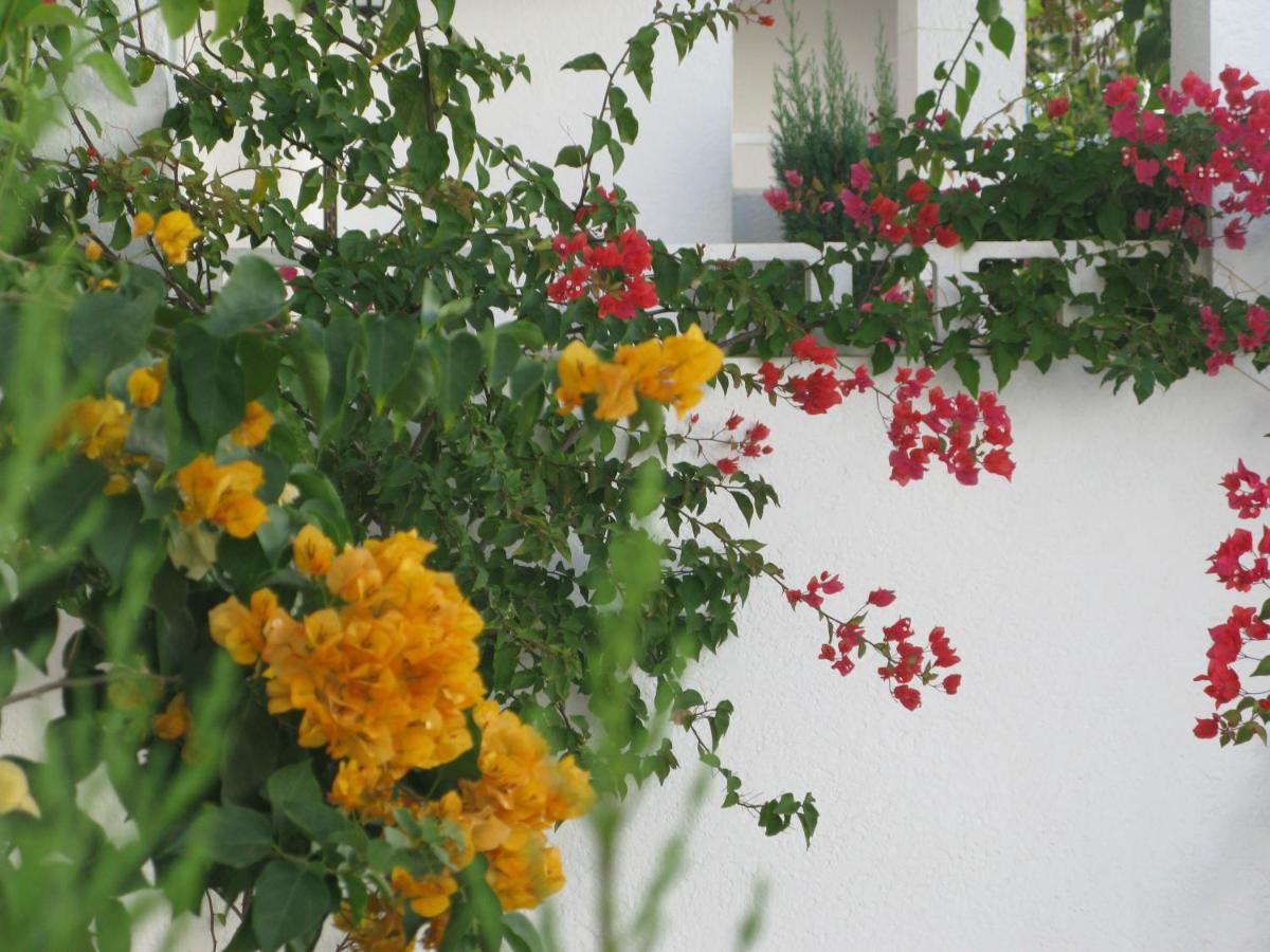 1St Line To The Beach & Sunshine In Mar De Pulpi San Juan De Los Terreros Exterior photo